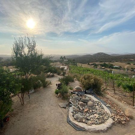 Chalet Nativo - Fabulous Terrace & Vineyard 瓜达鲁佩镇 外观 照片