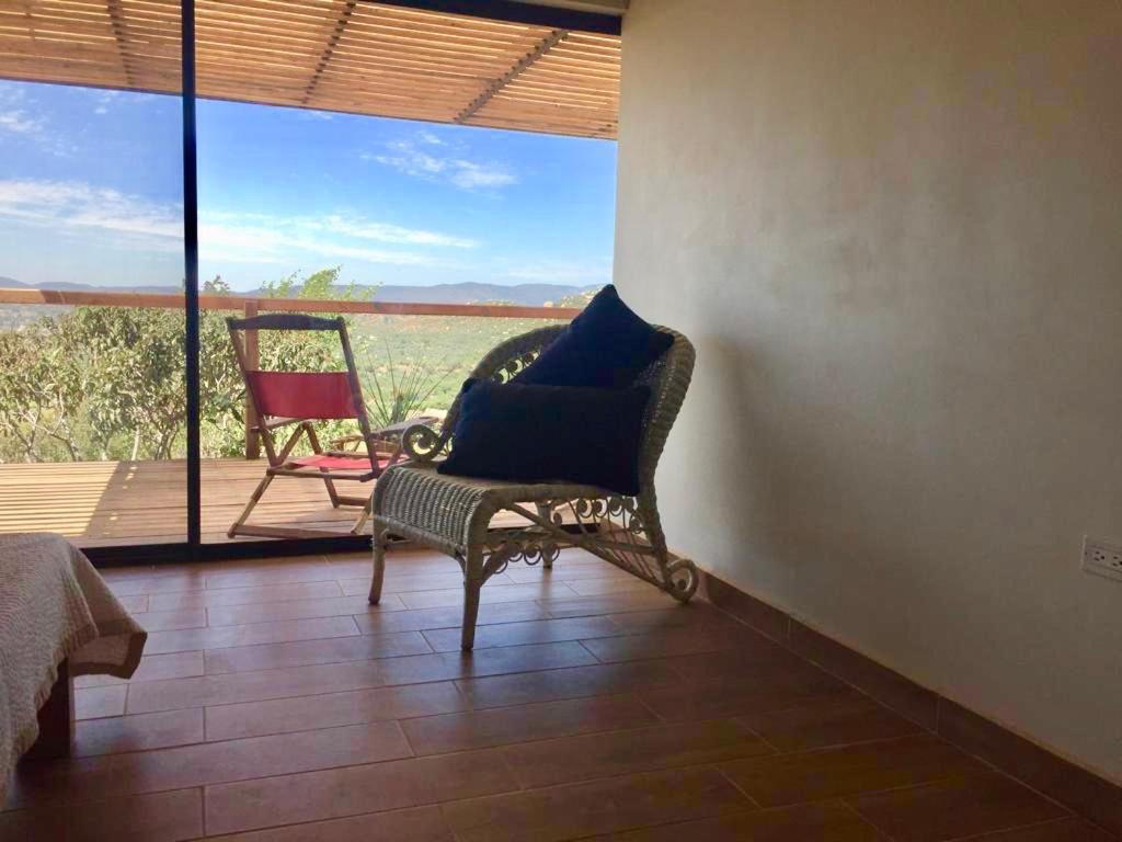 Chalet Nativo - Fabulous Terrace & Vineyard 瓜达鲁佩镇 外观 照片